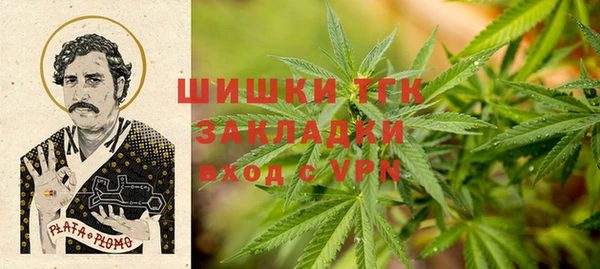 сатива Алзамай