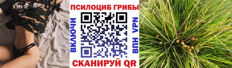 Галлюциногенные грибы MAGIC MUSHROOMS  что такое   Нюрба 